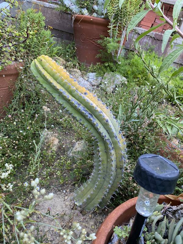 E78D8606-E32D-4D48-8148-BD377917DEDF