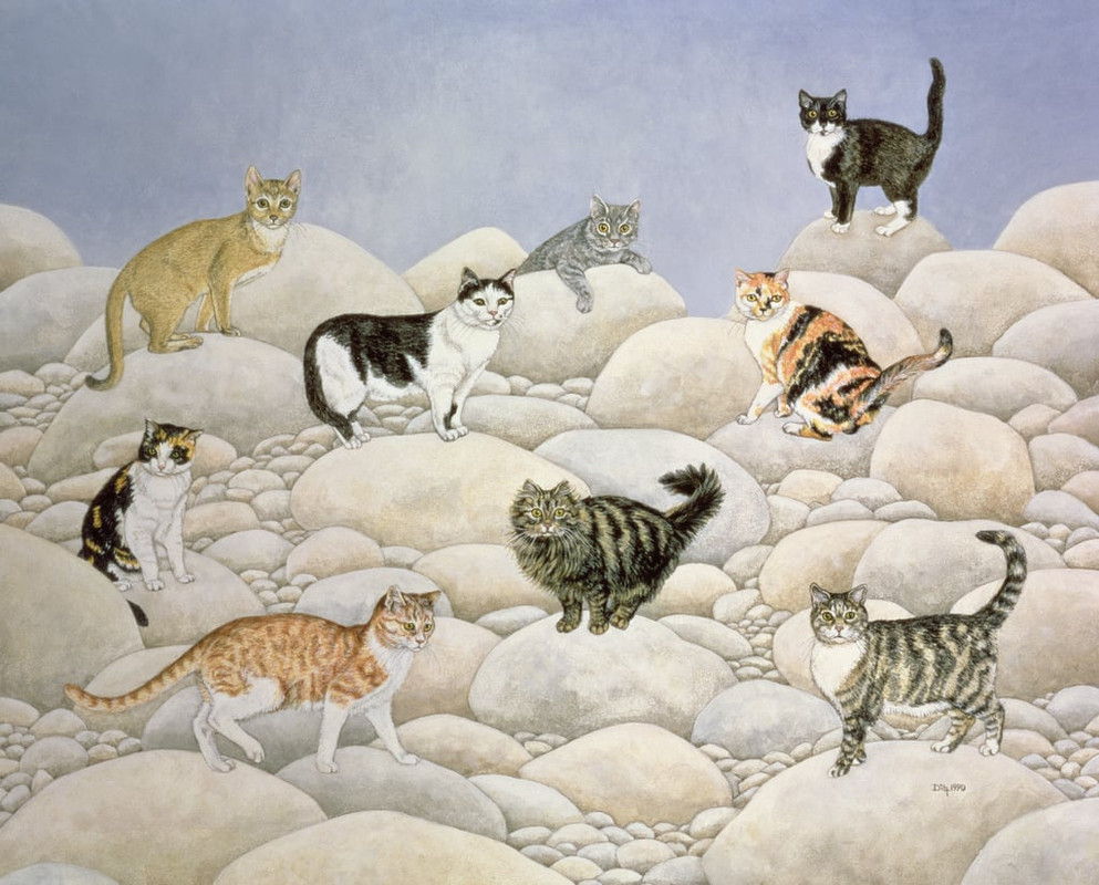 3-Ditz_Ditz_-_Lynn_Valley_Cats_-_(MeisterDrucke-551220)