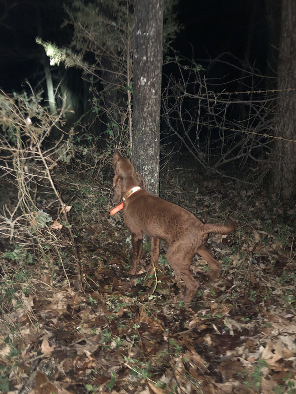 7E90DD48-9A14-4BA2-BDBB-240CC02CD4D7