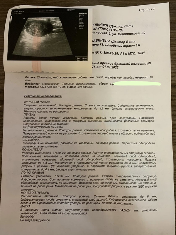 DF9FF4E7-0B7C-444B-9CB4-4A337822755A