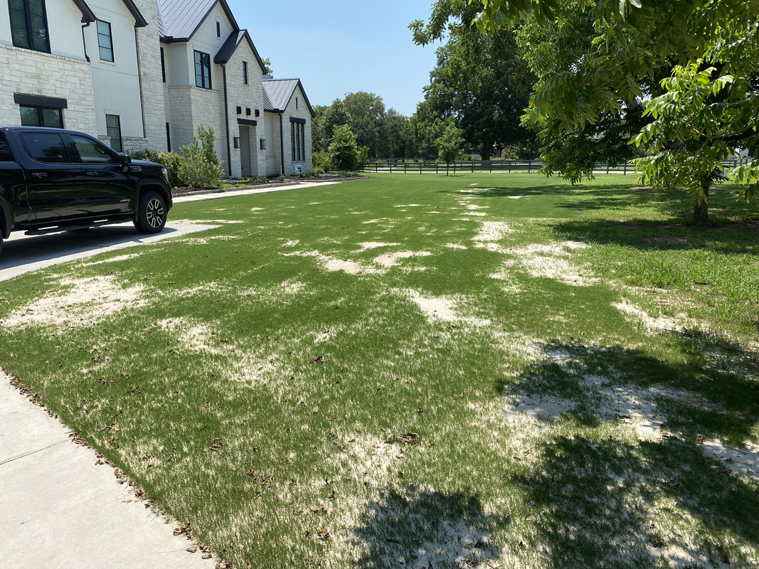 00760907-FDB2-4ED1-B22F-CA97256BE460