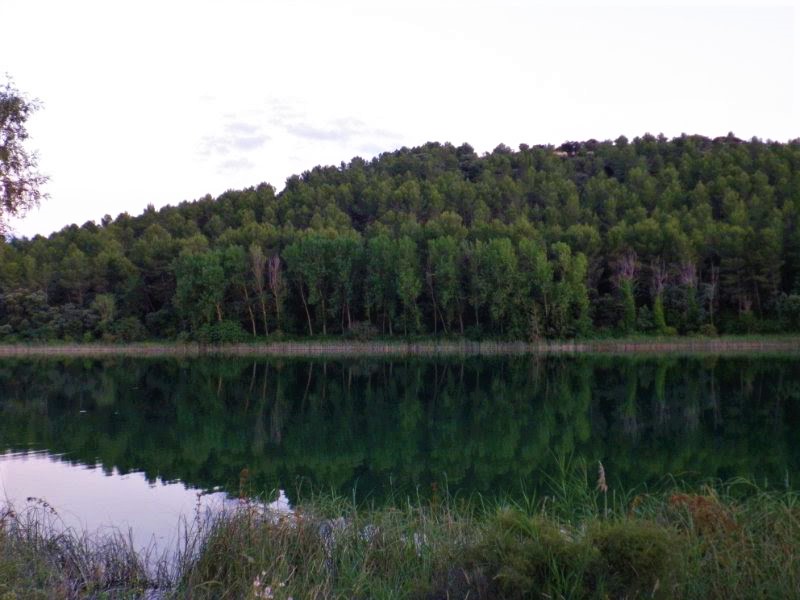 LAS LAGUNAS DE RUIDERA-30-6-2010-CIUDAD REAL - Paseando por España-1991/2016 (9)
