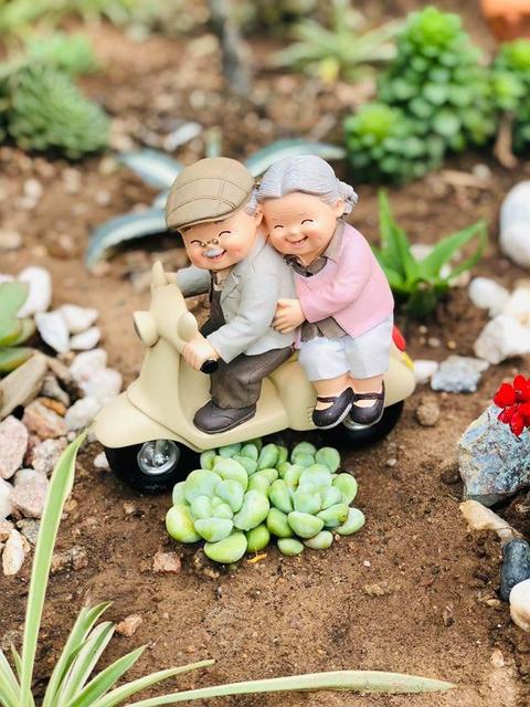 [Image: A7-FB9-EAB-24-E0-4372-83-DD-1-E1-B9026-EBD8.jpg]