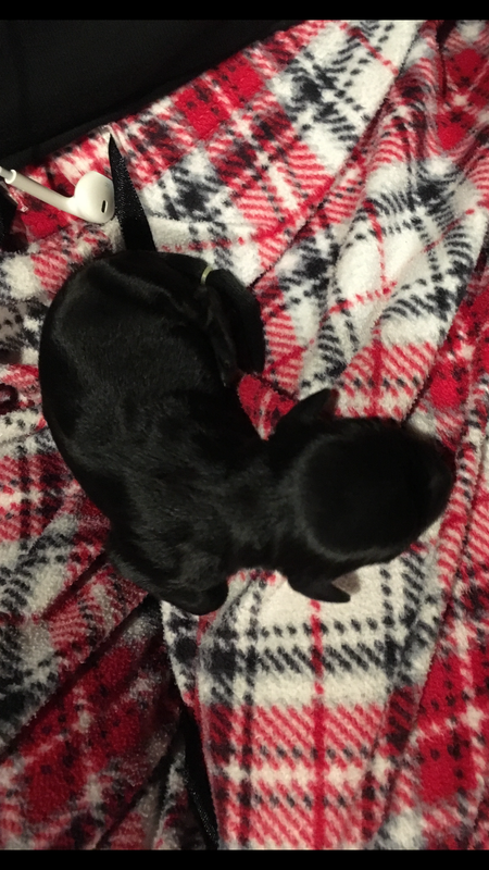 128BC43B-0C8E-4C6B-833F-D38EA1E356DF