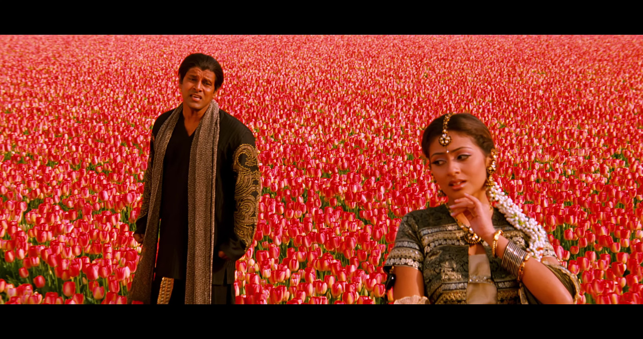 VideoCapture_20241122-200635