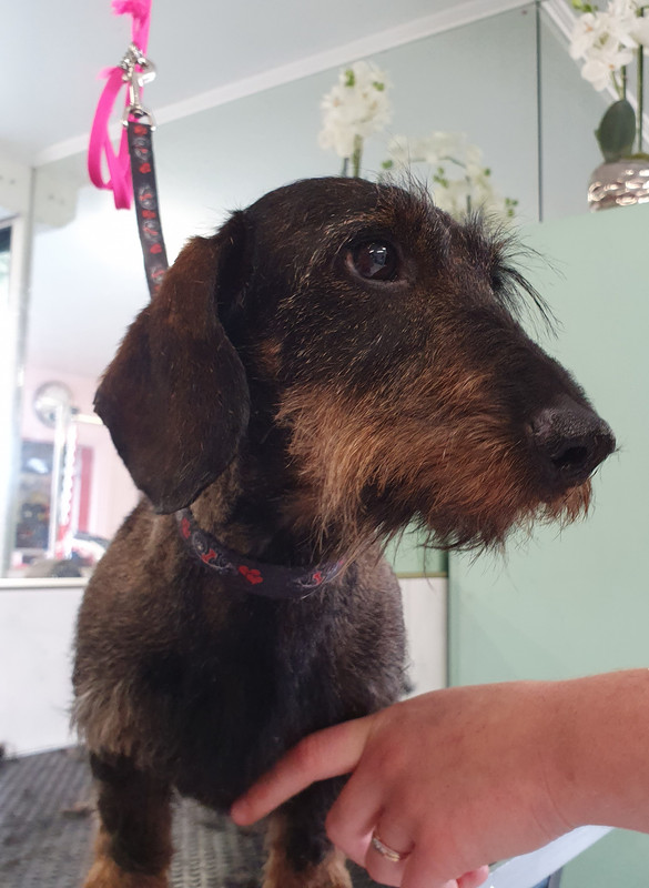 [Image: 20210727-213506.jpg]