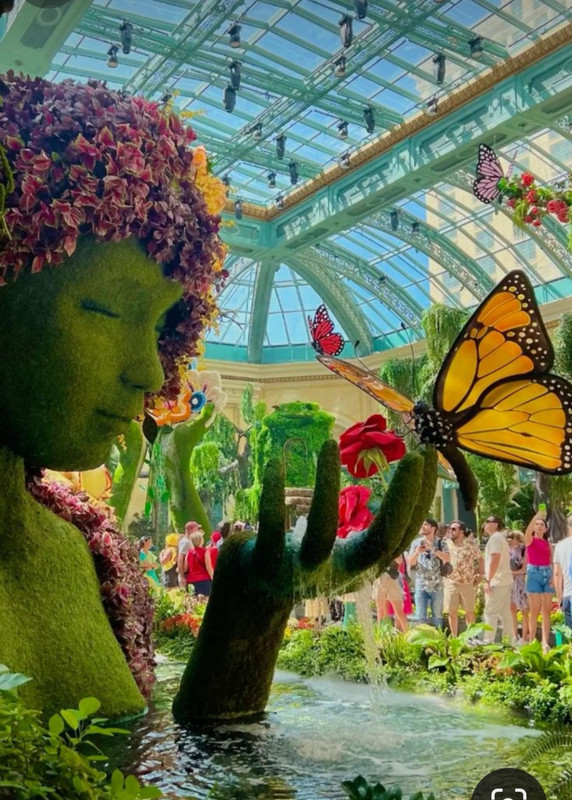 Screenshot_20240425_224405_Pinterest