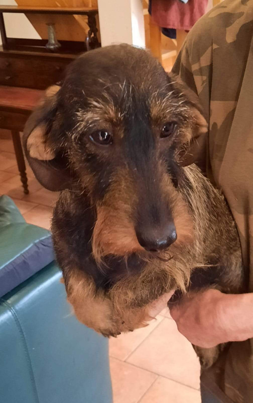 [Image: Resized-IMG-20210818-WA0000-163905380586531.jpg]