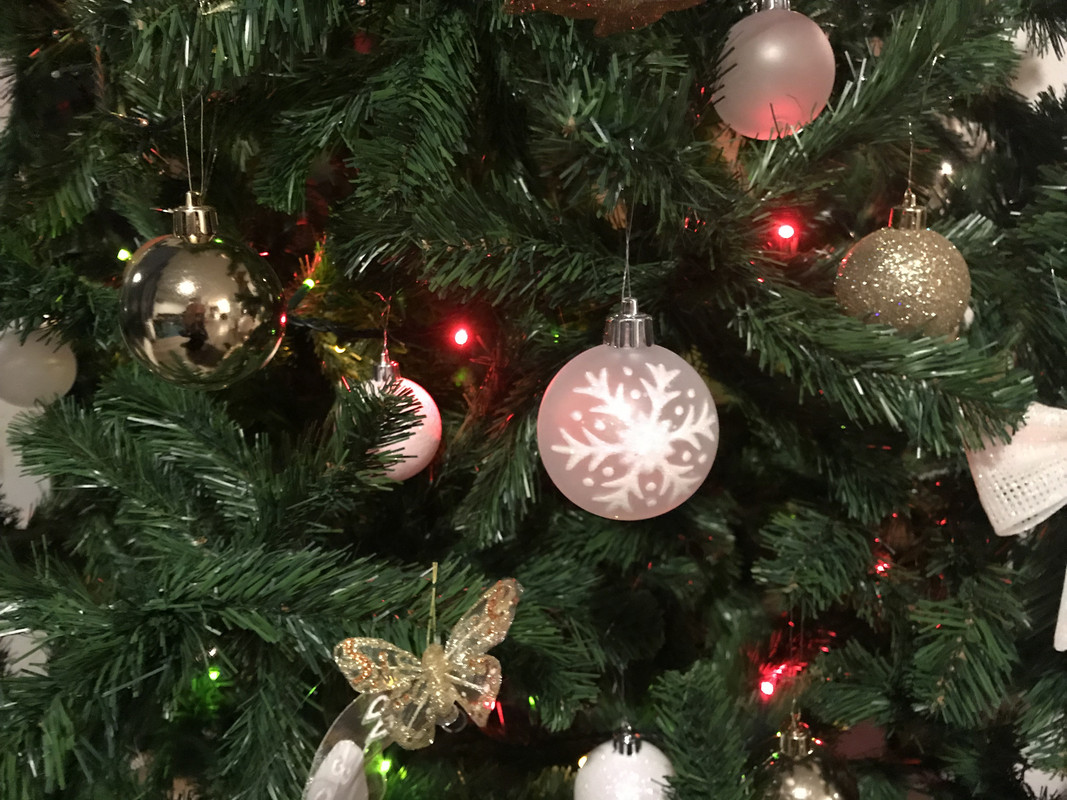 EE950743-DE60-406D-96F1-E8F1DB7504FC