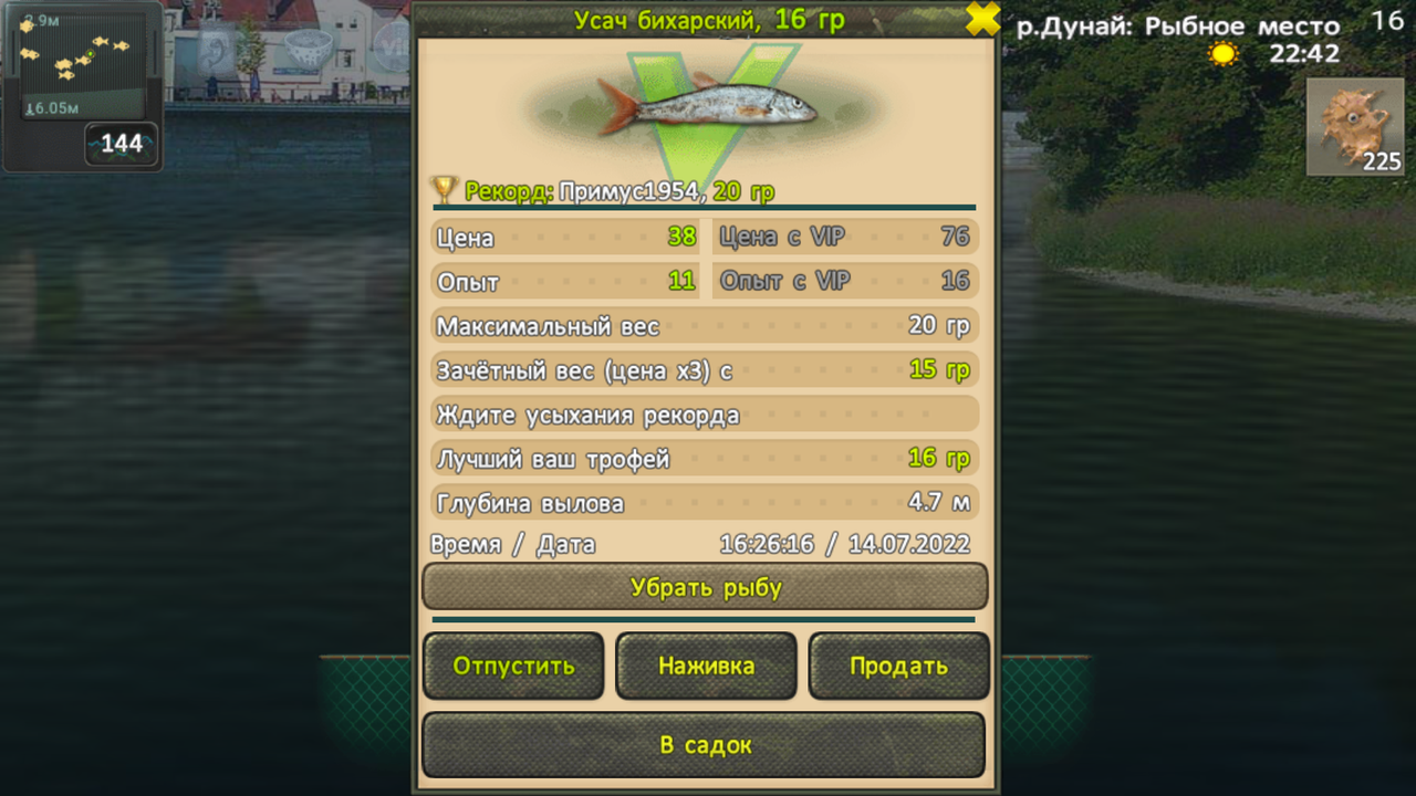 fish-wof-wof-Screenshot-2022-07-14-16-26