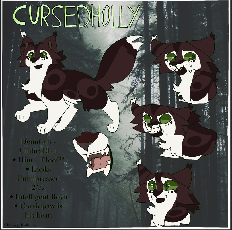 76CC483B-86D2-43AB-9DCD-19340E0EA387