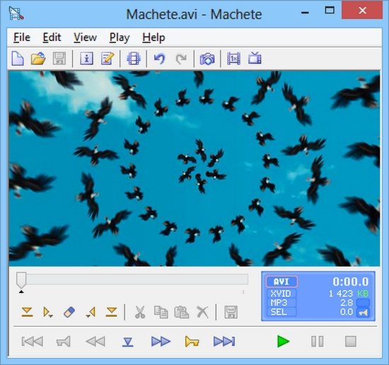 MacheteSoft Machete 5.1 Build 22