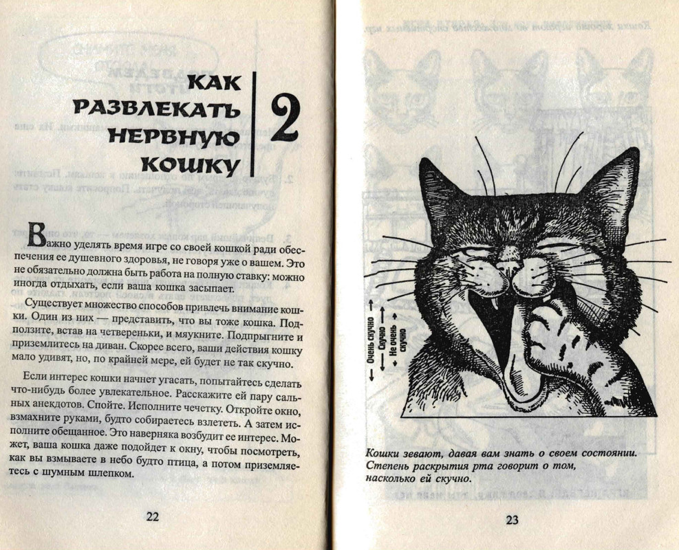 Bejker-Stiven-Kak-zhit-s-koshkoj-nevrotikom-page-0013