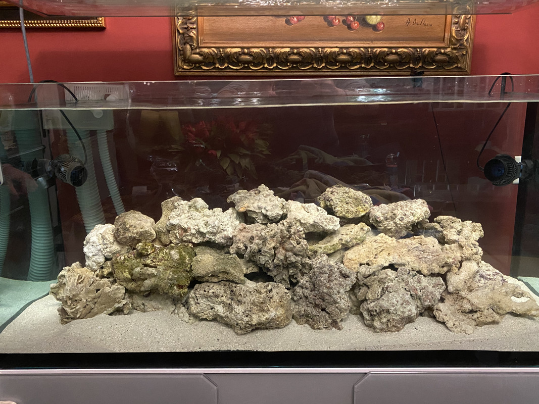 DBE2C7E9-C60E-45BA-AC82-81FABDD6EA4B