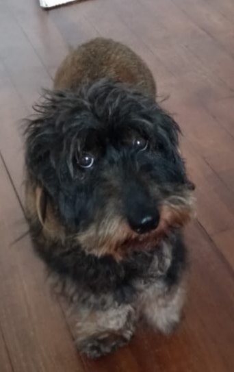 [Image: image000000-76.jpg]