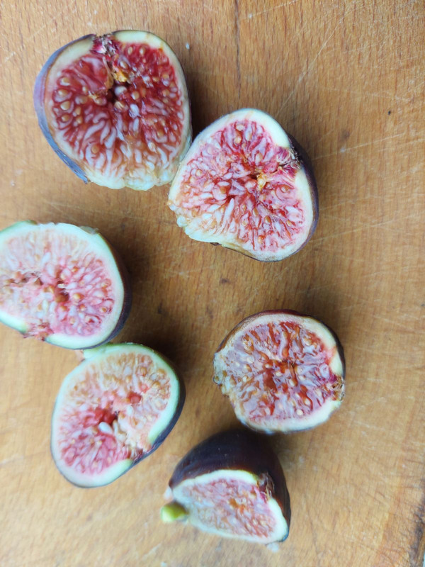 0-02-05-8821b82545147cbcca1d8f51b942843cca6cadbda99dd43e166a86ae65c5cfc0_161a7f94995a62c9