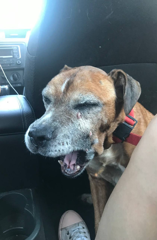 B5540474-2E7C-43C9-BF3F-7C434DF9FD0E