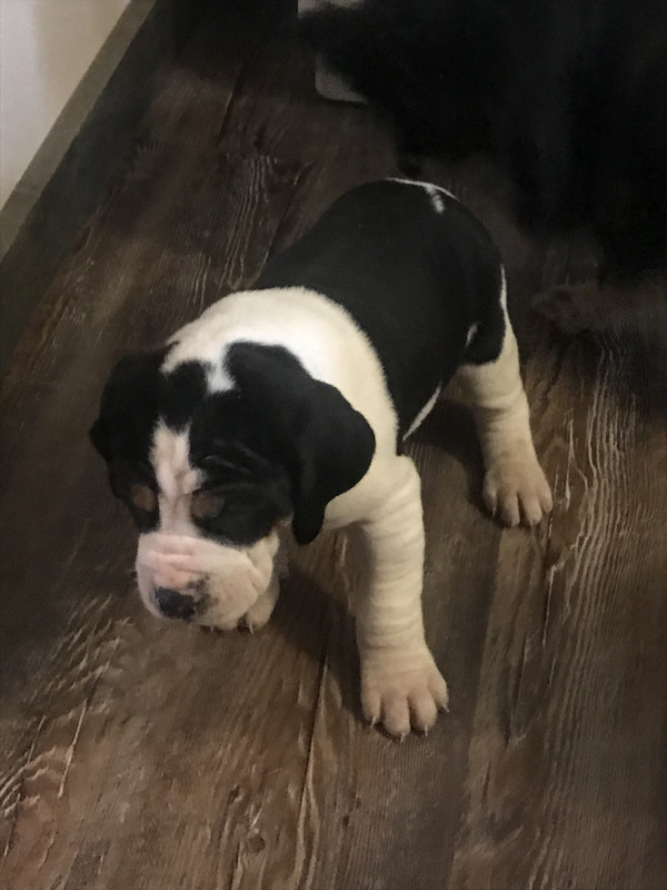 907FE307-9AC2-4620-BE7B-9F0C26093922