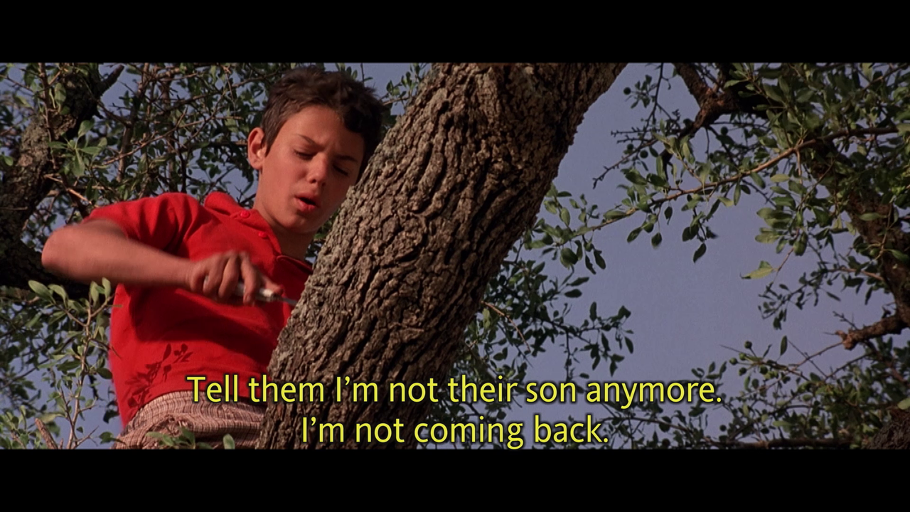 vlcsnap-2024-05-26-20h37m32s600