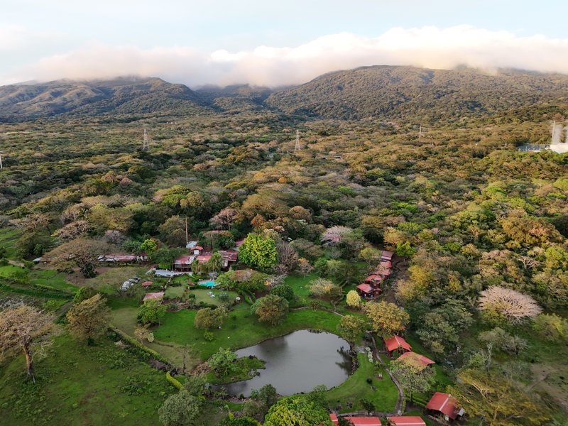 dji-fly-20250106-172150-0186-1736209615417-photo.jpg