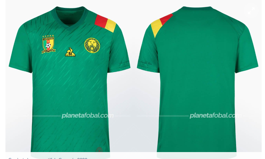 camiseta titular camerun