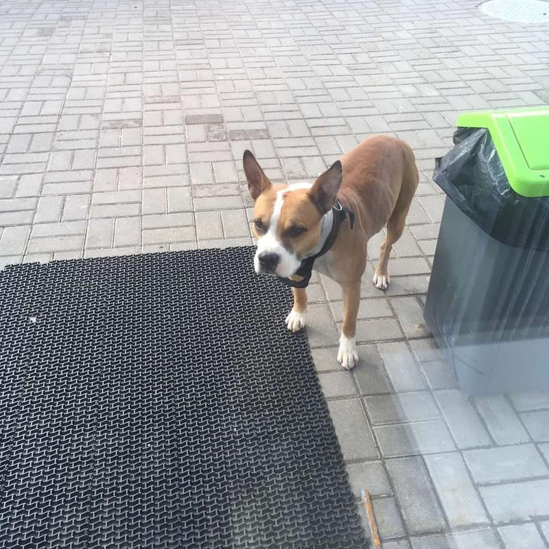 2F0A5991-2300-44BF-9D73-8FA115696AA5