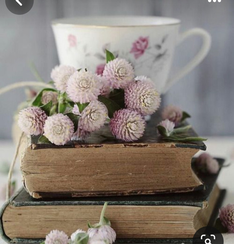 Screenshot_20230905_012520_Pinterest