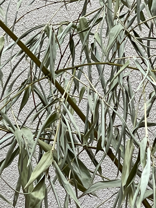 9E803151-FDD3-4C24-86FB-4ED7E0EBCBFC