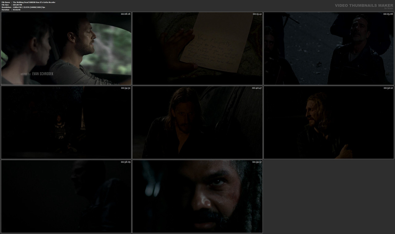 The Walking Dead S08E08 How It's Gotta Be.mkv