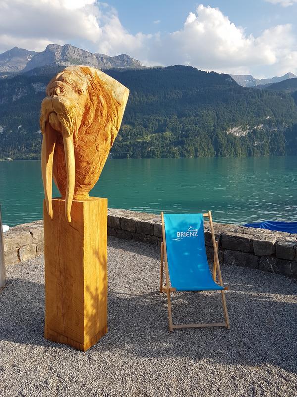 BRIENZ ROTHORN BAHN- PADDEL SURF EN EL BRIENZERSEE - VOLVEMOS A SUIZA! + PUY DU FOU, ORADUR SUR GLANE, SAINT EMILION...Y ASTURIAS (10)