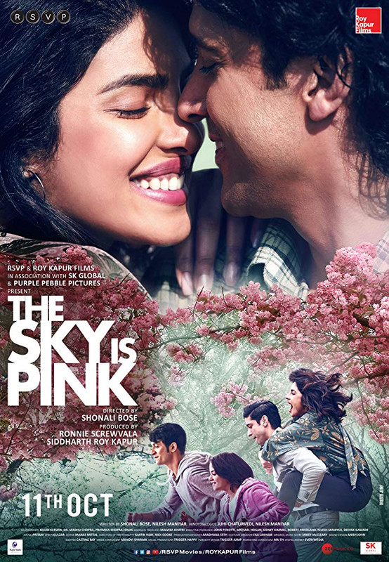 The Sky Is Pink (2019) Hindi 720p WEB-DL x264 800MB Download