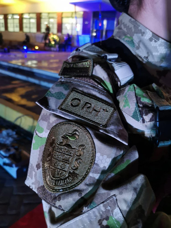 Proyecto Camaleón Bicentenario005