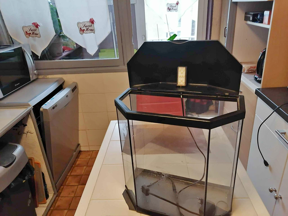 271600018_4333864460051755_3479986281641797132_n