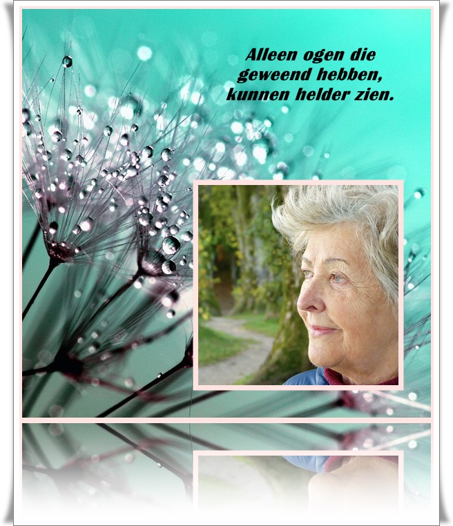 welkom opblog Bunic Jos