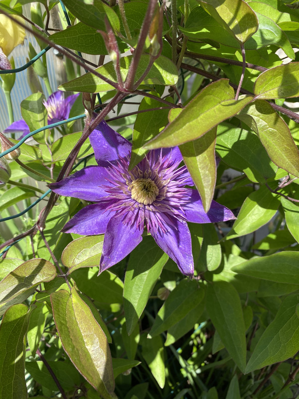 3845F386-F8D6-42E6-AEFD-68118C546F6B