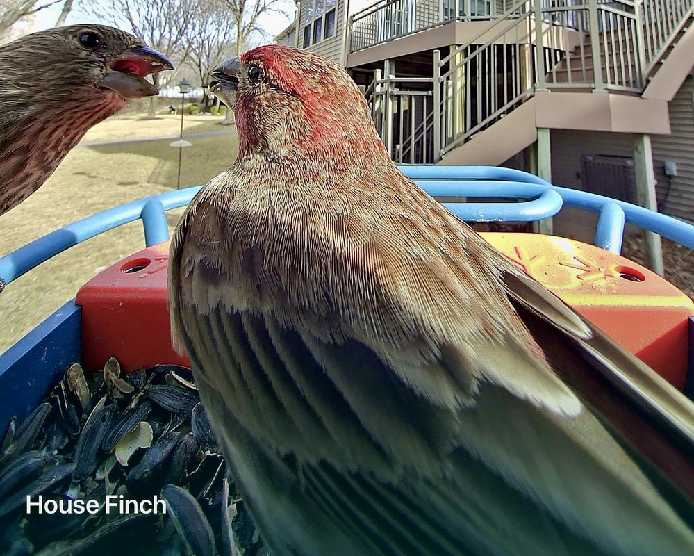 A06B337F-BFED-4431-B1F0-9C8B9D92BA90