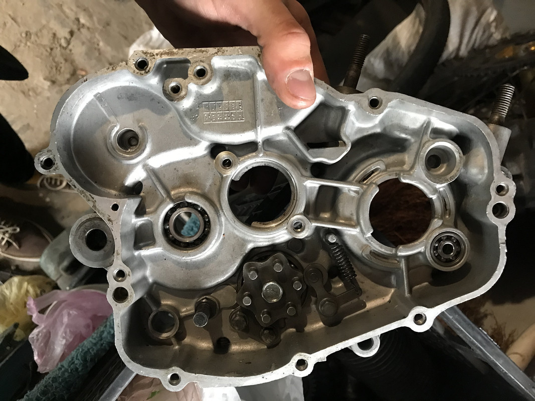 493A8068-E915-4AD3-B9CB-FE32F68C5135