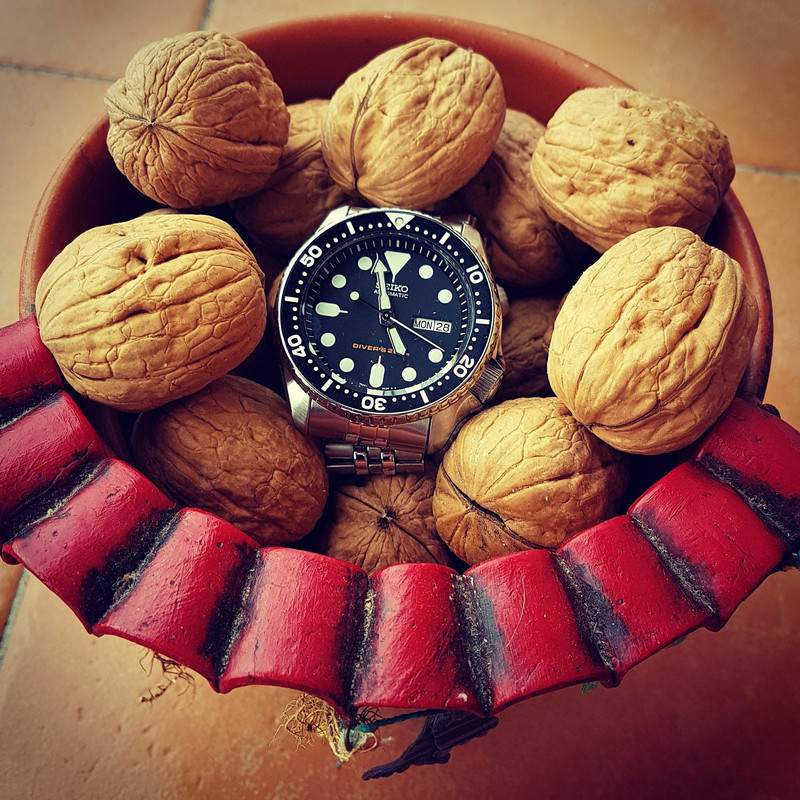 Seiko Prospex SKX007 Cal. 7S26 Auto 200M (1)