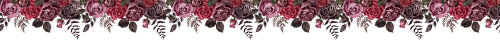 pink 236