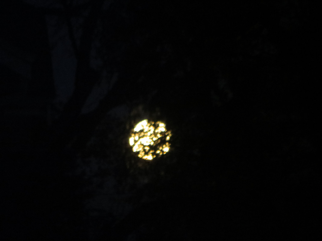 IMG 0925 — Postimages