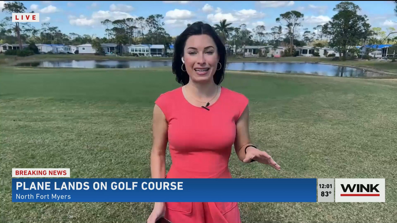 02.02 - 17.00.00 - The WINK Noon News  ᴺᵉʷ. Midday news update..ts_snapshot_07.37.650
