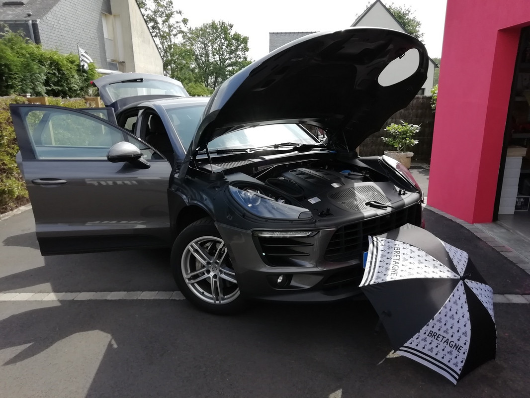 porsche (3)