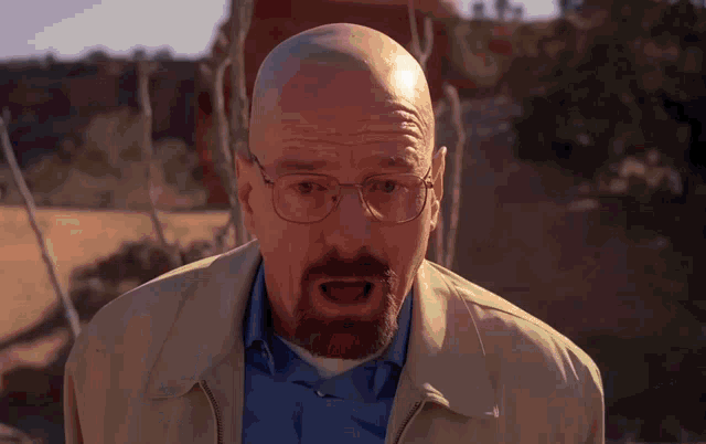 IMG-0260.gif