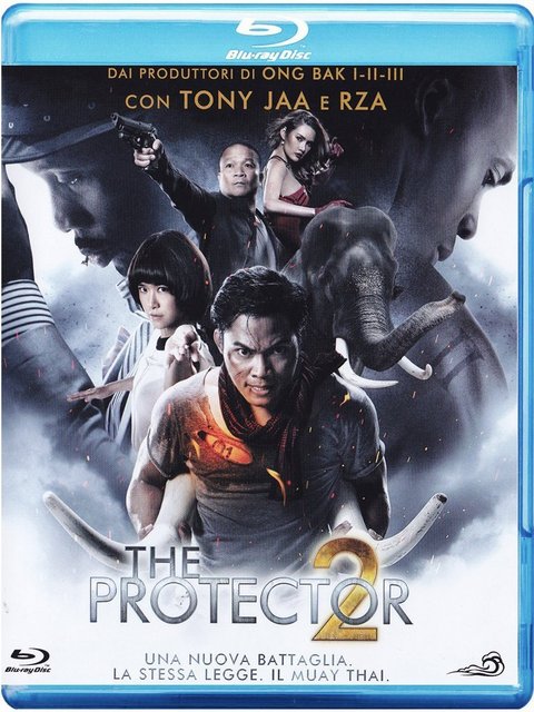 The Protector 2 (2013) Dual Audio Hindi ORG 480p Bluray x264 AAC 300MB ESub