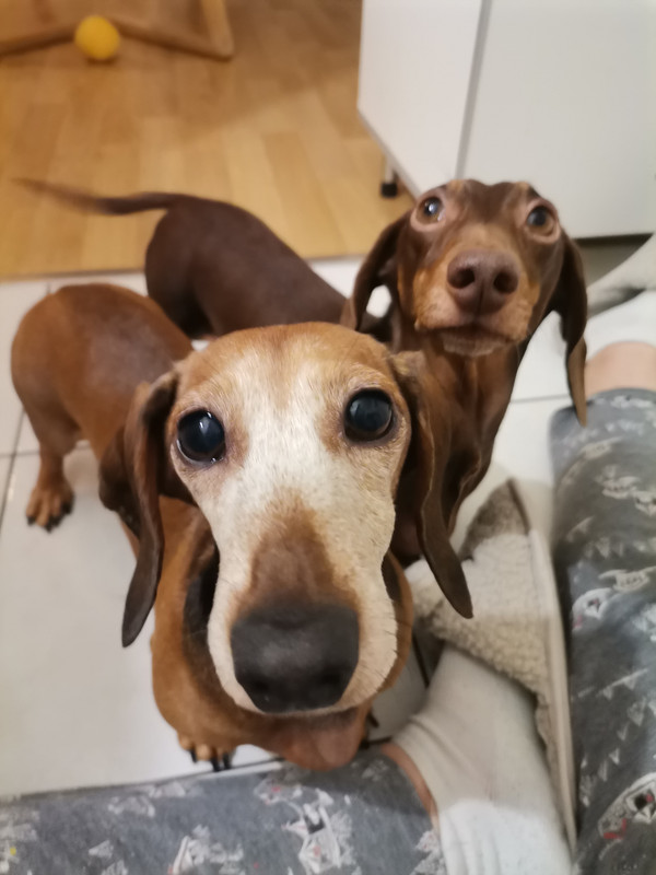 [Image: IMG-20230105-194419.jpg]