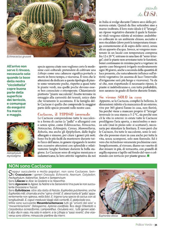 Pol Ver Set 2022 (6)