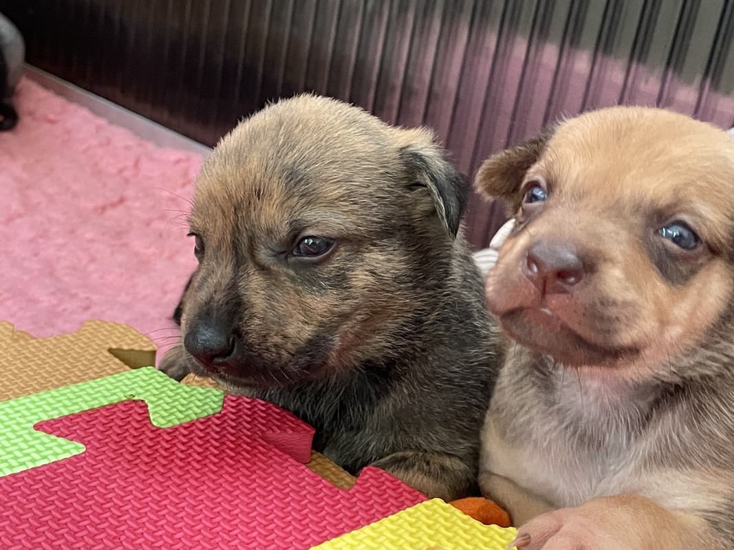 341A4BF0-86BF-46E9-B57B-BA1FDADB9183