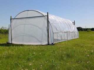 [Image: IMG-20240422-161631.jpg]