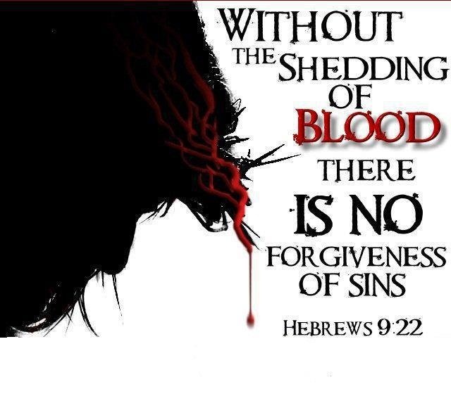 [Image: blood1.jpg]