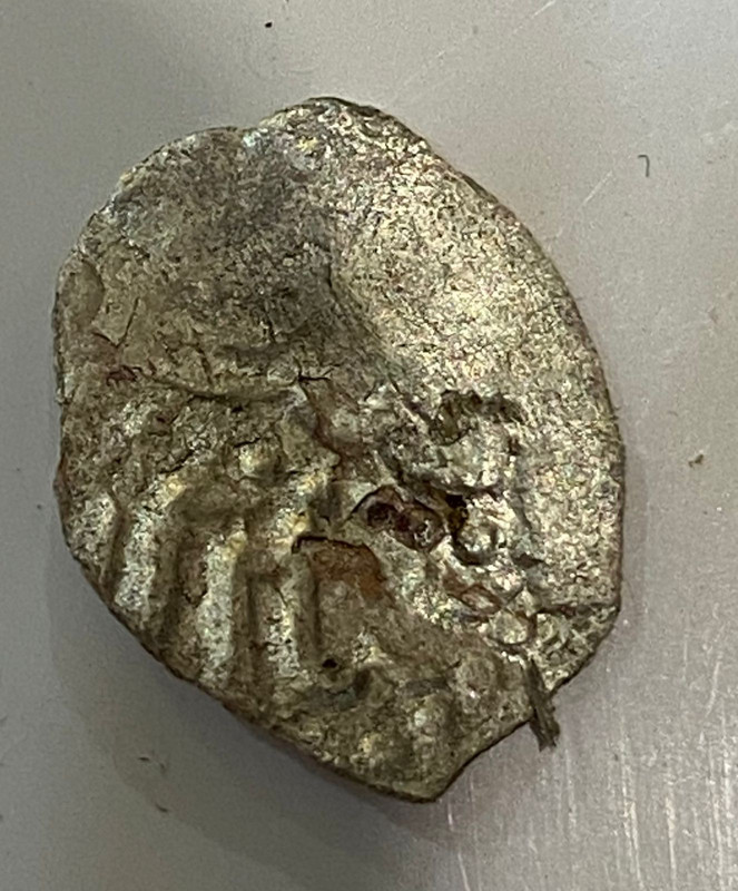 Изображение WhatsApp 2024-08-21 в 16.19.37_147f7618